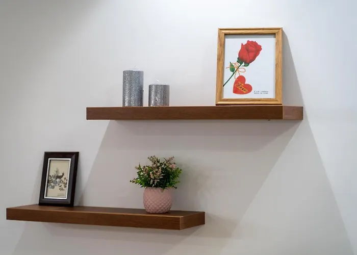 B&n * 兹拉蒂博尔