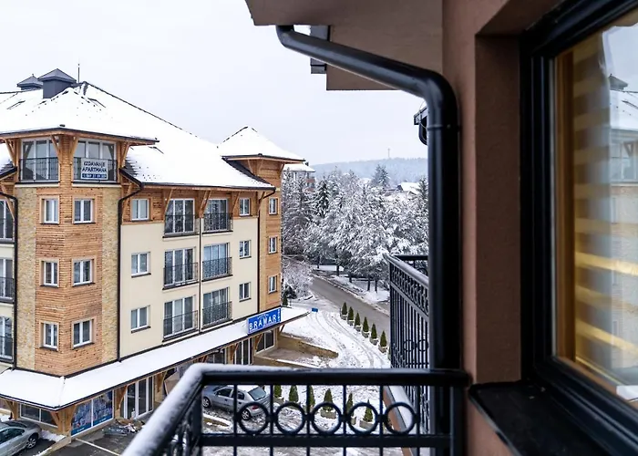 B&n * 兹拉蒂博尔